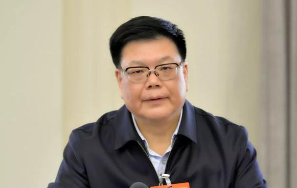 全国政协常委、中国南方航空集团董事长王昌顺：坚决打好“七