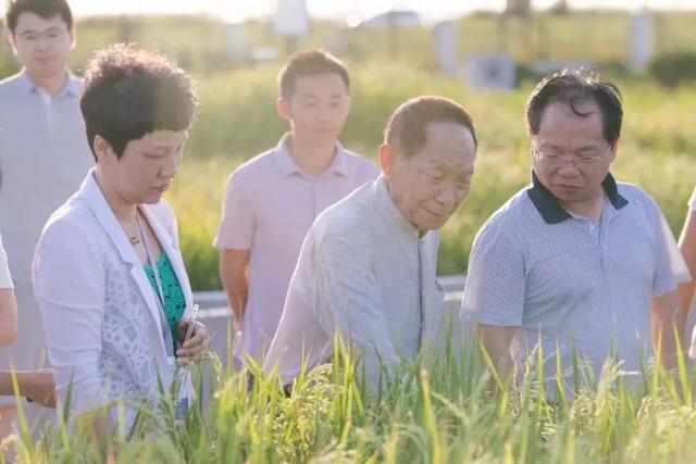 “90后”袁隆平，祝你生日快乐