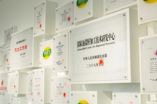 道道全驶入发展快车道 实现品牌与市场“双提升”
