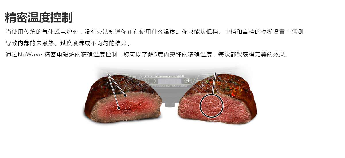 精密电磁炉哪个牌子质量好