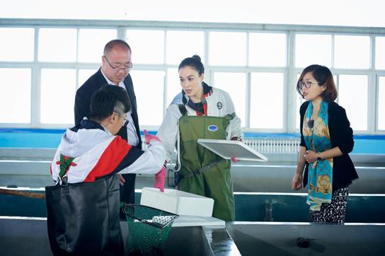 亚洲“性感女神”钟丽缇竟成“女汉子”，在《超级品牌官》究竟遭受了什么？