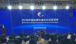 2018年中国品牌价值评价信息发布 亚宝药业榜上有名