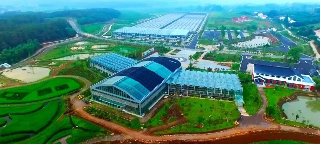 汇源亮相中国自主品牌博览会 积极发挥品牌引领作用