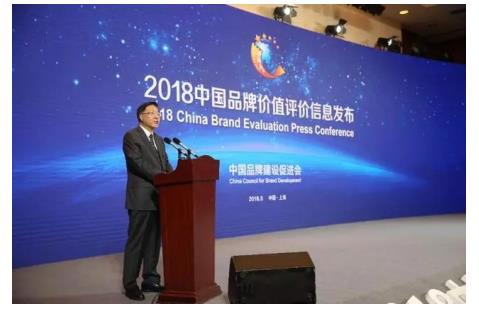2018中国品牌价值评价榜权威发布 康力电梯稳居民族电梯品牌首位