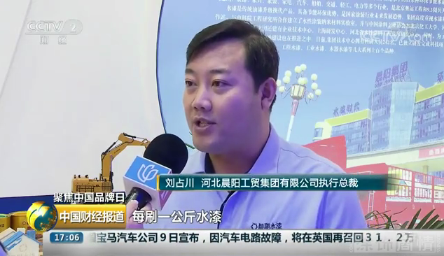央视报道截图：媒体采访晨阳工贸集团执行总裁刘占川