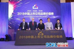 1040亿！五粮液跃居中国上市公司品牌价值榜第25位