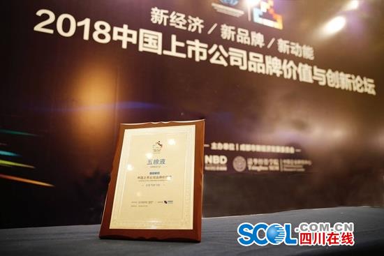 1040亿！五粮液跃居中国上市公司品牌价值榜第25位
