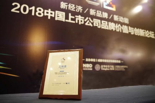 1040亿！五粮液品牌价值大幅提升 2018中国上市公司品牌价值榜在蓉发布