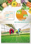 甘肃榆中：西北“菜园子”成品牌