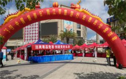 阳江市旅游局举行5.19中国旅游日“全域旅游 美好生活”惠民公