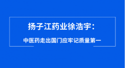 扬子江药业徐浩宇：中医药走出国门应牢记质量第一