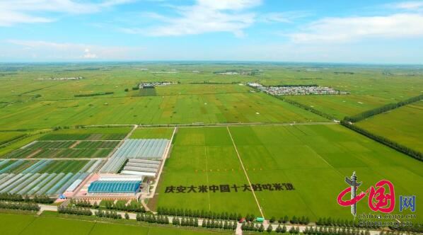 庆安大米品牌价值达108亿元 居全国第四