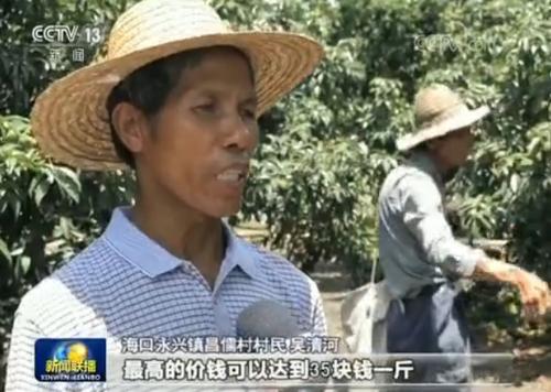 让农民钱袋子鼓起来：海口特色产业品牌支撑 助农增收