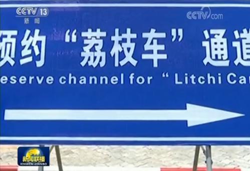 让农民钱袋子鼓起来：海口特色产业品牌支撑 助农增收