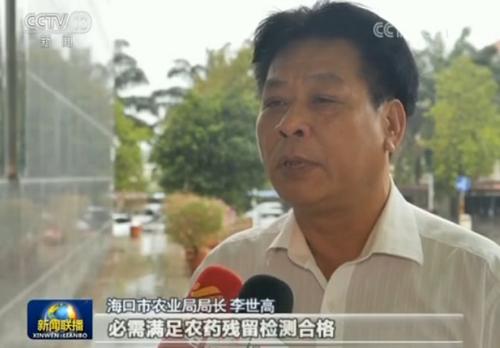 让农民钱袋子鼓起来：海口特色产业品牌支撑 助农增收