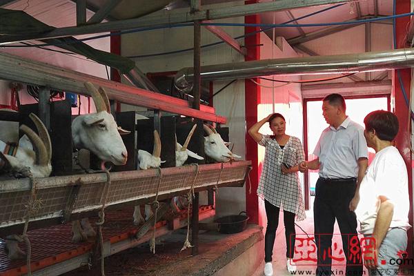 我奋斗我幸福｜乌苏大学生回乡创业 ＂羊奶奶＂品牌从村落走向城市