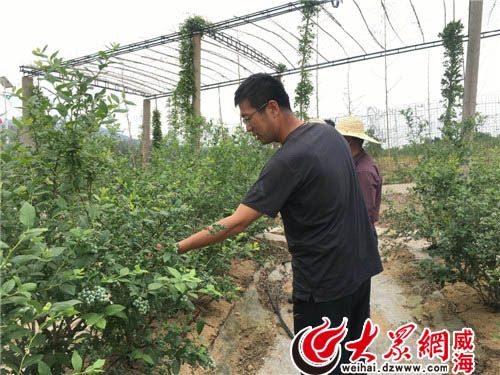 乡村振兴靠人才 西铺头村叫响农业观光新品牌