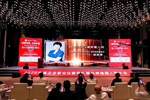<strong>中国民族卫生协会会长、英平集团董事长吴英萍</strong>
